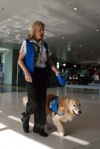 Casey e Liz em busca de um passageiro em necessidade de um chamego canino.