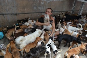 Gisela Tacao no seu abrigo em Miami, cercada de seus mais de 200 melhores amigos