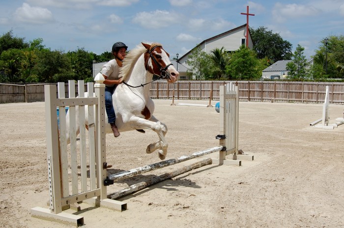 A menina Shelby visita e pratica equitação com seu cavalo, Thunder, diariamente (Foto: Caio Ferraz)