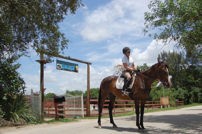 Cliente do Peaceful Ridge, Maureen Smith adotou a égua Haven (Foto: Caio Ferraz)