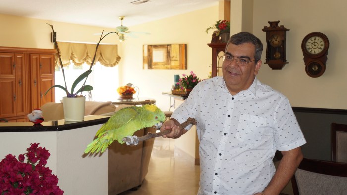 Douglas Heizer com Sailor, seu papagaio, em sua casa em Boca Raton. Foto: Chris Delboni.